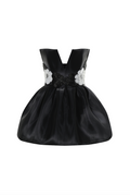 Black Swan